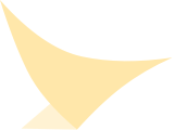 候鸟浏览器 Logo